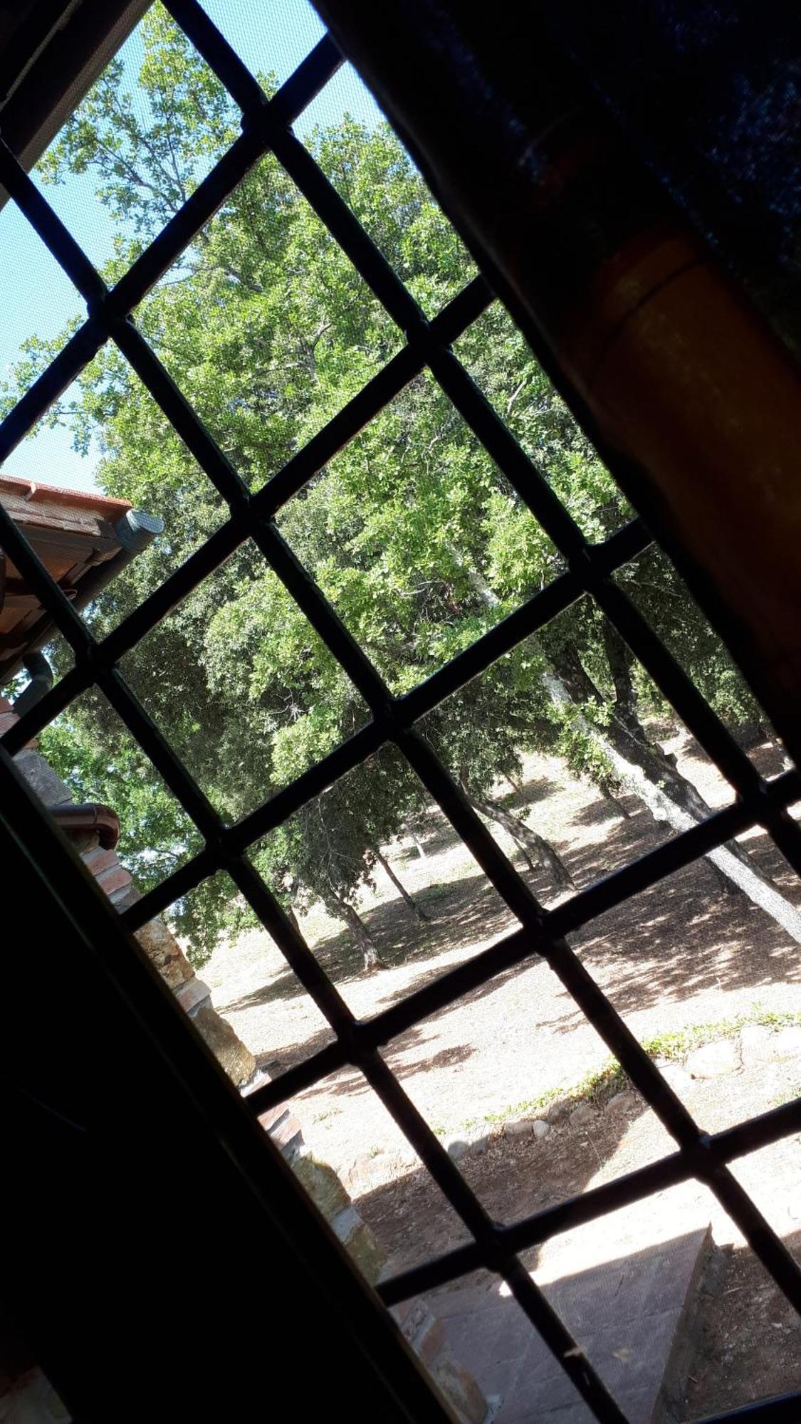 Agriturismo Podere San Lorenzo 1866 Massa Marittima Bagian luar foto