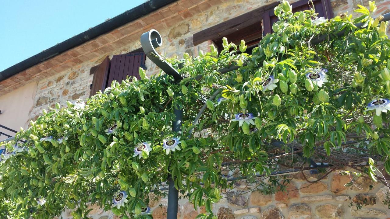 Agriturismo Podere San Lorenzo 1866 Massa Marittima Bagian luar foto